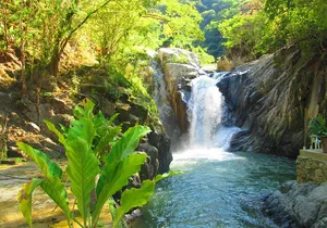 Coastal Adventure in Quimixto : Hiking and Cooking Workshop