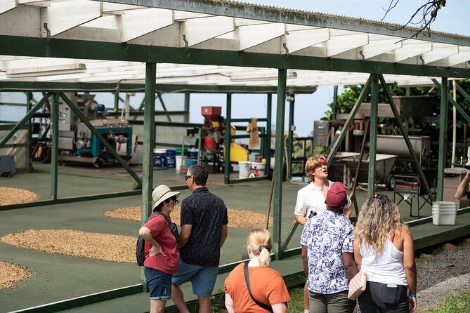 Kona Coffee Farm Tour