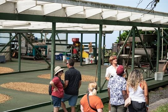 Kona Coffee Farm Tour