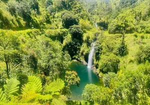 Small-Group Road to Hāna Tour (Up to 4) — Hidden Gems Adventure