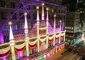 1 HR - Holiday Window Display Tour in a Vintage Car!