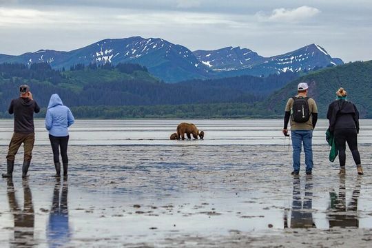 Chinitna Bay Bear Viewing Flight Tour from Talkeetna