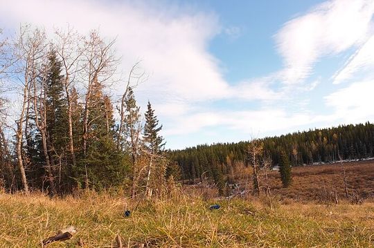 Waiprous Valley and Ghost Lake Offroad Tour
