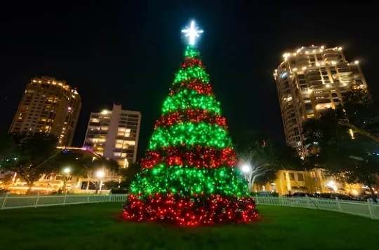 Holiday Lights Golf Cart Ride in Downtown St. Petersburg