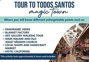todos santos tour
