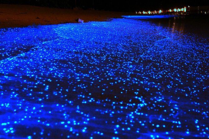 Holbox Bioluminescence Night Tour by Golf Cart