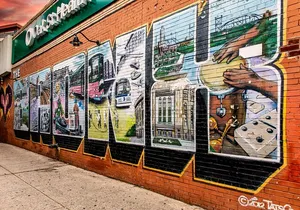 Tour Contrasts of New York VIP