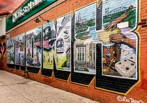 Tour Contrasts of New York VIP