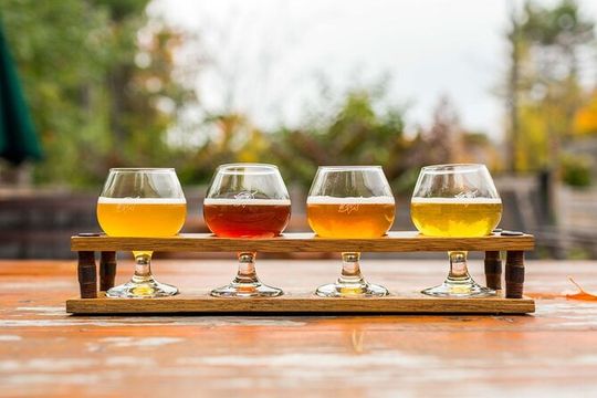 Orlando Brewery Tasting at 3 Local Breweries Tour