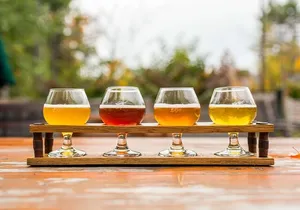 Orlando Brewery Tasting at 3 Local Breweries Tour