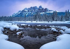 Winter Private Full Day Banff and Icefields Parkway Tour