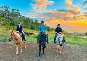 Sunset Mountain Vista Horseback Trail Ride on Oahu