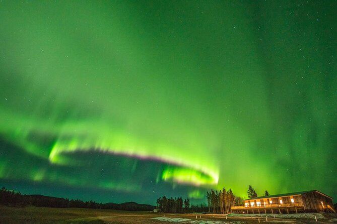 4-Day Whitehorse Northern Lights Tour with Flight Tickets
