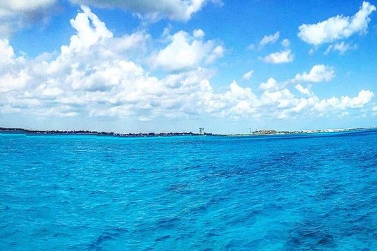 Puerto Morelos Reef Snorkel, 2 stops , local tacos, small groups!