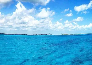 Puerto Morelos Reef Snorkel, 2 stops , local tacos, small groups!