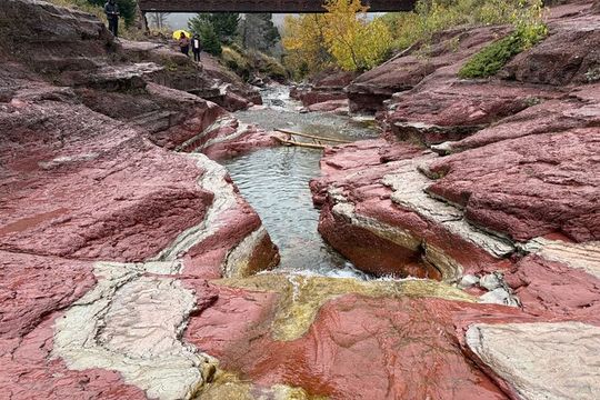 Explore Waterton National Park from Calgary Day Guided Tour