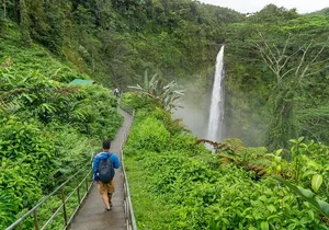 Hilo Highlights Private Sightseeing Tour