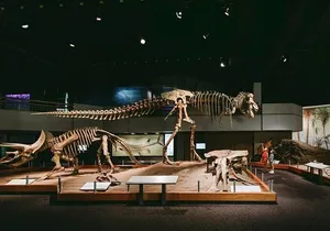 Drumheller Full Day Private Tour from Calgary