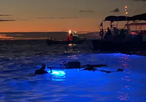 Kona Manta Night Snorkeling Adventure