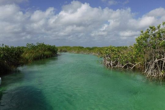 Sian Ka'an Tour (Private, Half Day)