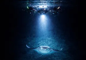 Manta Ray Night Snorkel Adventure in Kailua-Kona