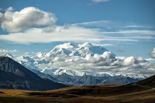 Denali Full Day Private Tour and Hike