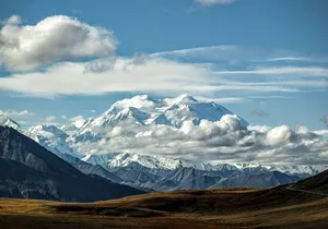 Denali Full Day Private Tour and Hike