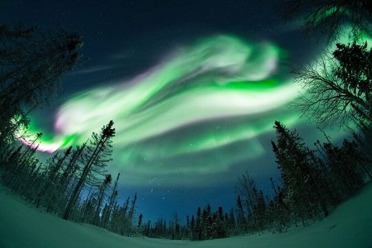 Private Northern Lights Photography Tour in Fairbanks, Alaska