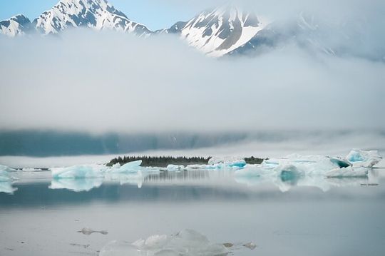 Bear Glacier Helicopter Tour and Beach Landing in Seward