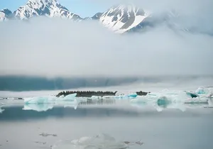 Bear Glacier Helicopter Tour and Beach Landing in Seward