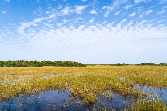 Everglades National Park Private Car Tour