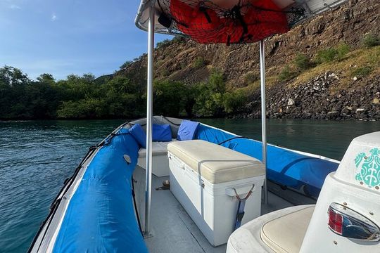 Private Charter Custom Kealakekua Bay Snorkeling