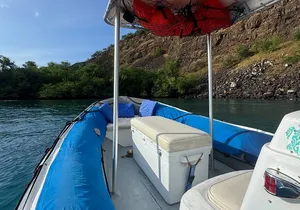Private Charter Custom Kealakekua Bay Snorkeling