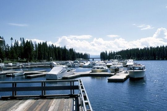 4 Days Yellowstone and Grand Teton Adventure from Salt Lake City