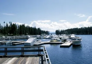 4 Days Yellowstone and Grand Teton Adventure from Salt Lake City