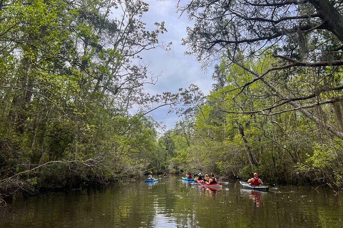 Yellow River Kayak Tour