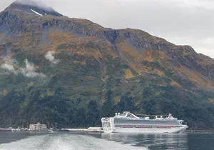 Cruise Transfer & Wildlife Tour: Anchorage to Whittier