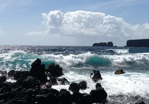 Halfway to Hana Sightseeing Adventure