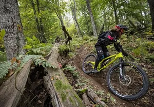 Experience Biking Adventure in Maui Mountain