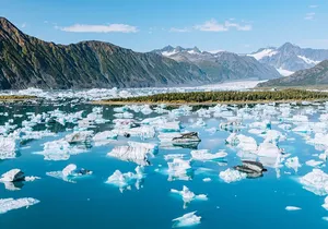 Seward Wildlife Explorer 60 minute Heli Flightseeing