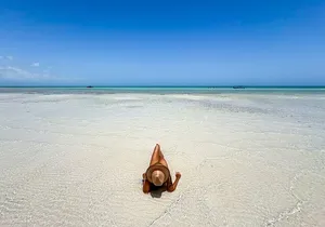 Holbox Island Tour From Cancun with PickUp