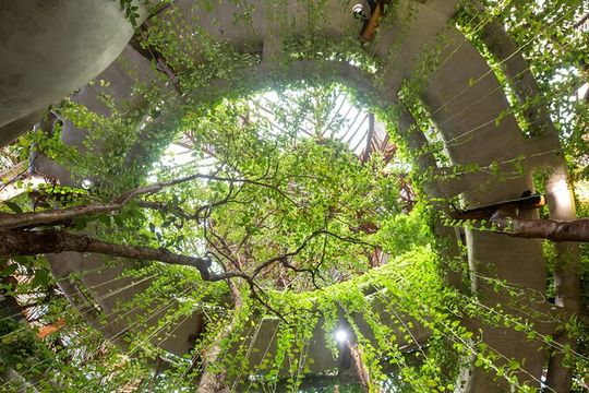 Visit AZULIK SFERIK Museum and Art Gallery in Francisco Uh May