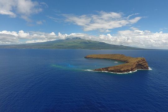 2 Hour Molokini Snorkeling Tour with Breakfast