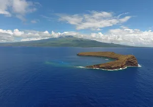 2 Hour Molokini Snorkeling Tour with Breakfast