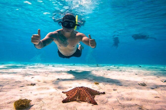 Peanut Island Sandbar and Swim Tour