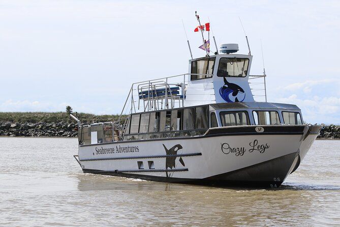 Winter Eco Tours on the Salish Sea Wildlife Adventures