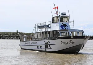 Winter Eco Tours on the Salish Sea Wildlife Adventures