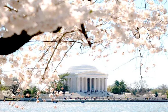 Washington DC Monuments Tour with 10+ Stops and Boat Cruise