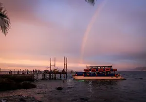 Rhythms of the Night Classic Cruise Dinner Gourmet Live Show