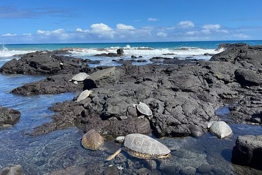 Haena Hike and Swim with Native Hawaiian
